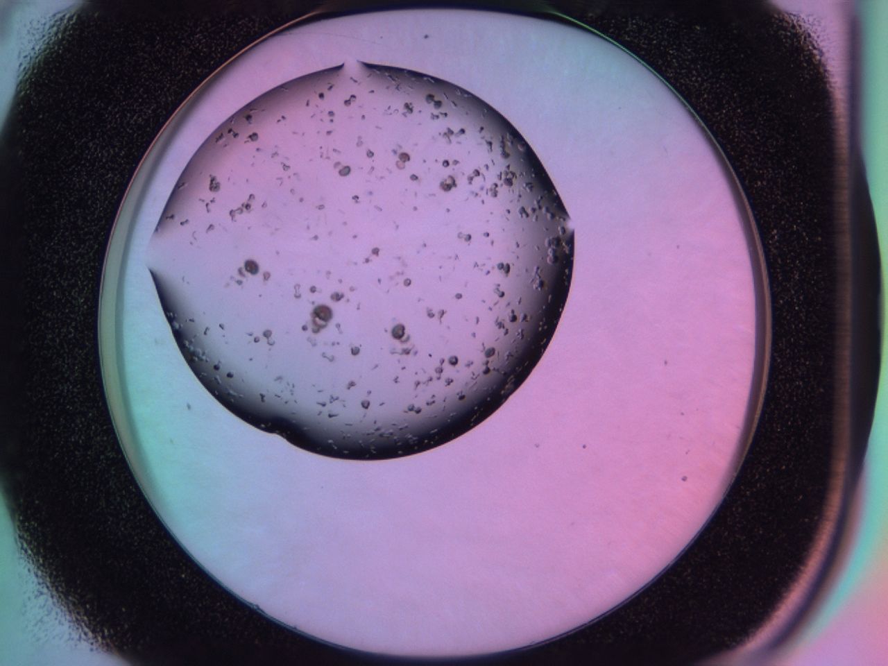 03it_C4_ImagerDefaults_7.jpg
