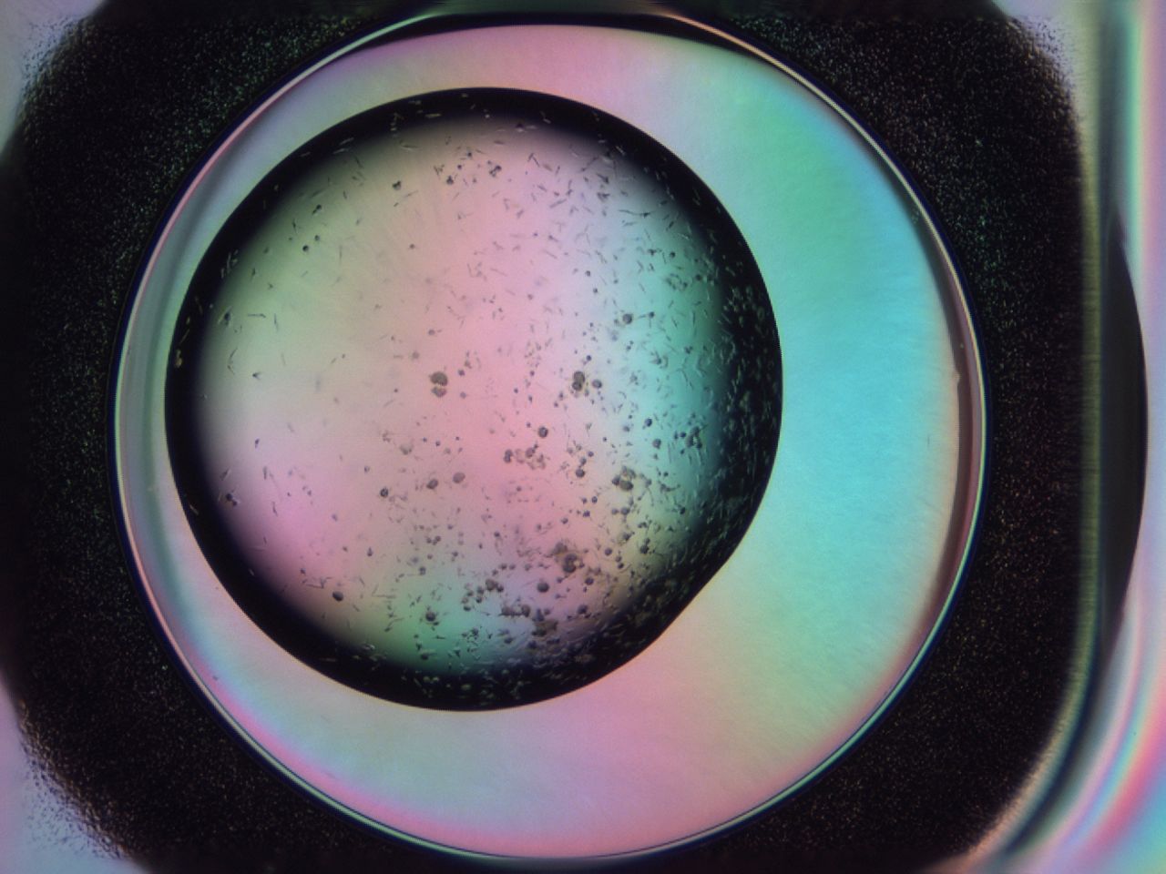 03it_G1_ImagerDefaults_6.jpg