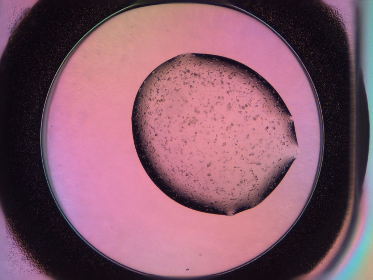 03it_C1_ImagerDefaults_7.jpg