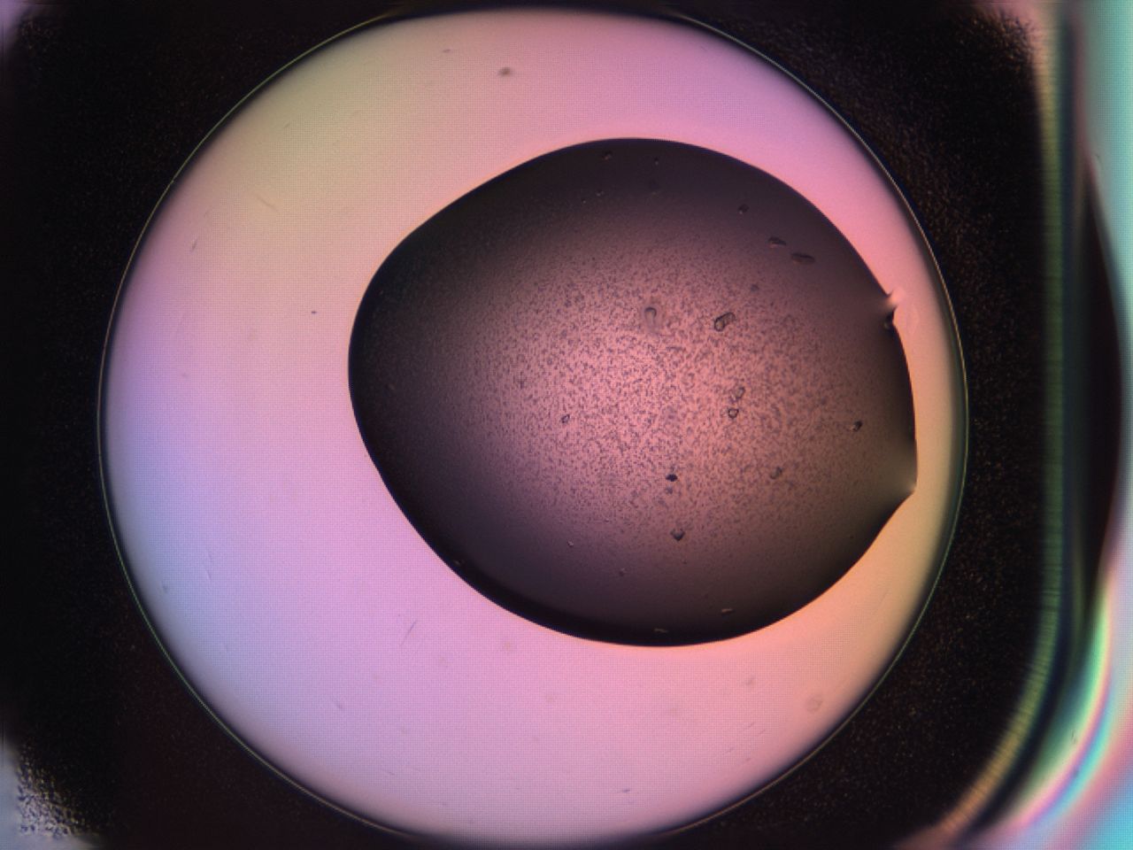 03j0_E8_ImagerDefaults_6.jpg