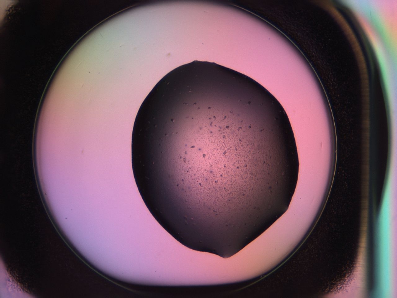 03j0_E2_ImagerDefaults_6.jpg