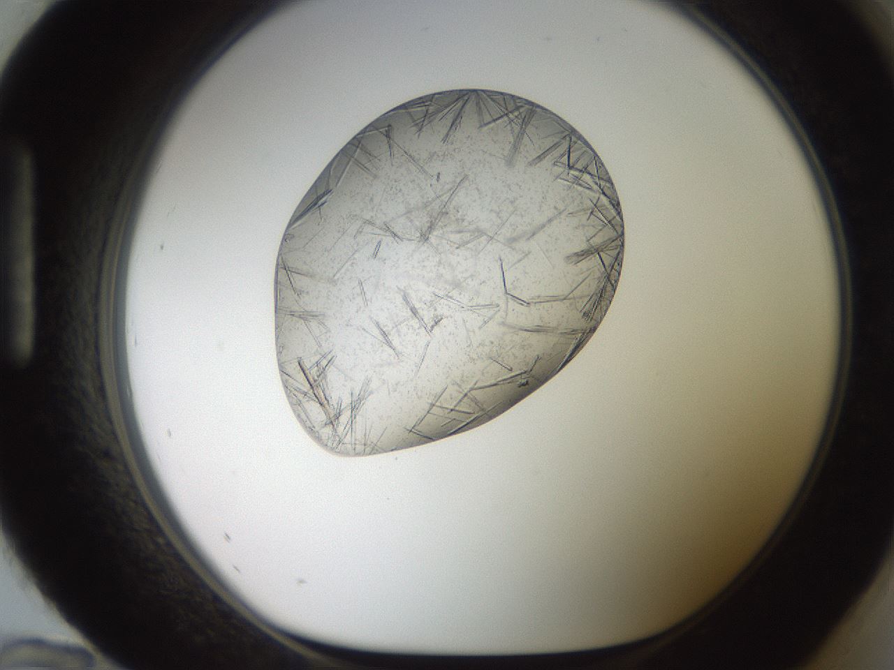 folderID574_plateID2574_batchID12939_wellNum96_profileID1_d1_r196807_ef.jpg