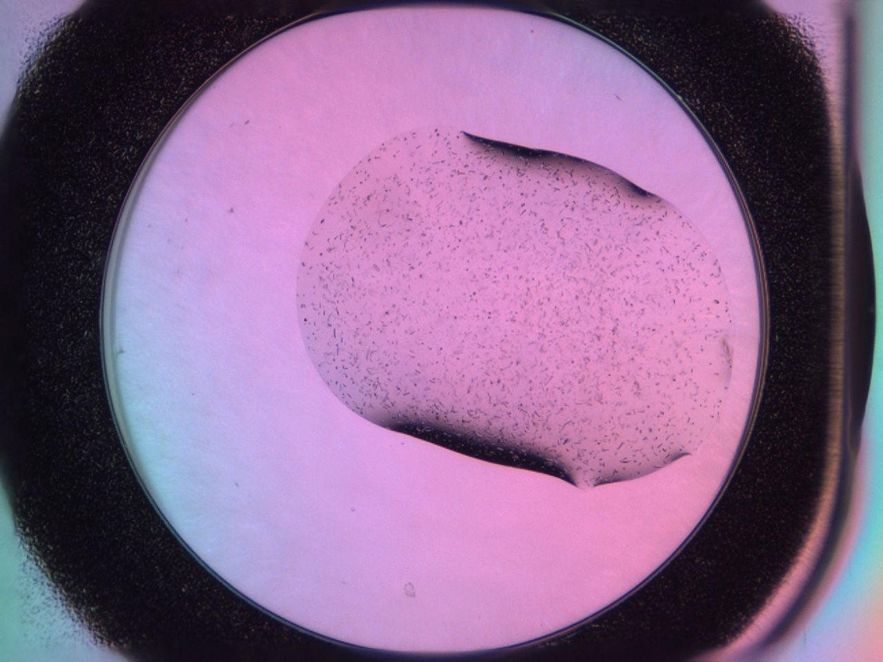 03j1_C7_ImagerDefaults_6.jpg