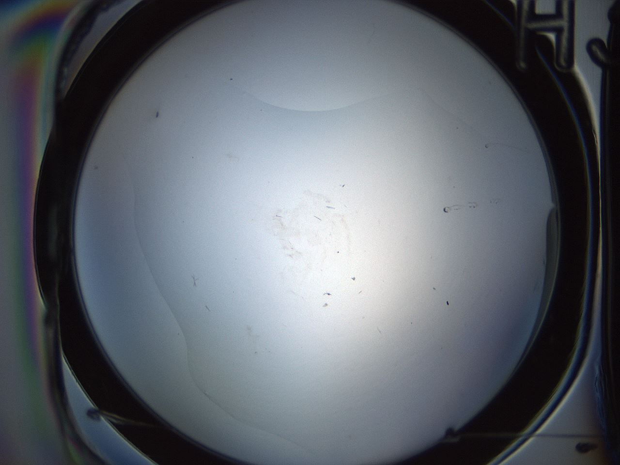 folderID584_plateID1584_batchID6473_wellNum45_profileID1_d1_r104315_ef.jpg