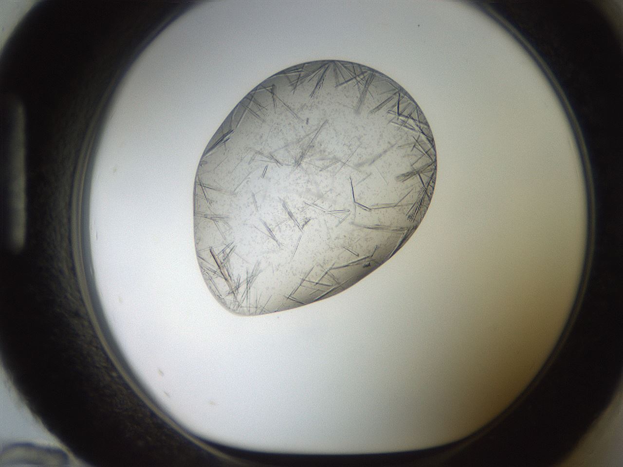 folderID574_plateID2574_batchID13028_wellNum96_profileID1_d1_r196807_ef.jpg