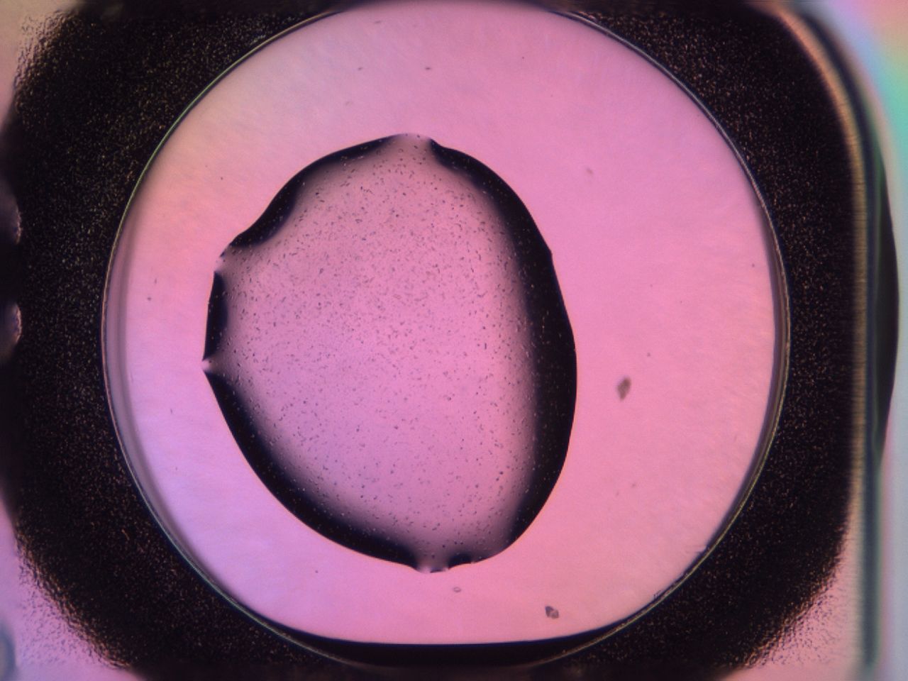03j9_C8_ImagerDefaults_6.jpg