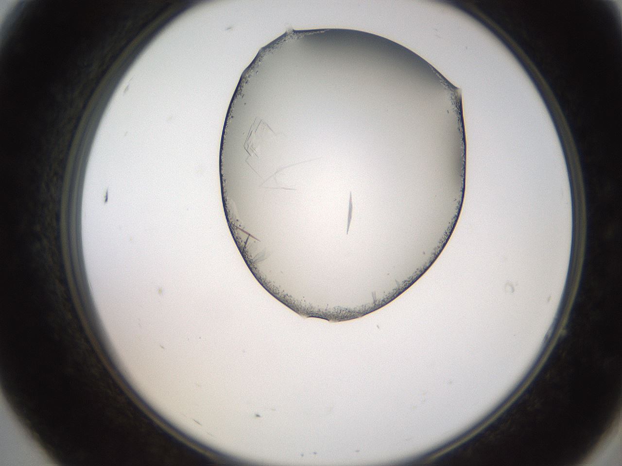 folderID205_plateID2205_batchID10007_wellNum7_profileID1_d2_r149956_ef.jpg