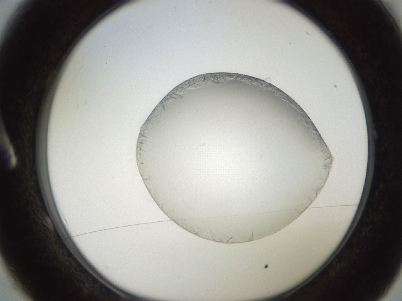 folderID206_plateID2206_batchID9998_wellNum1_profileID1_d1_r149751_ef.jpg
