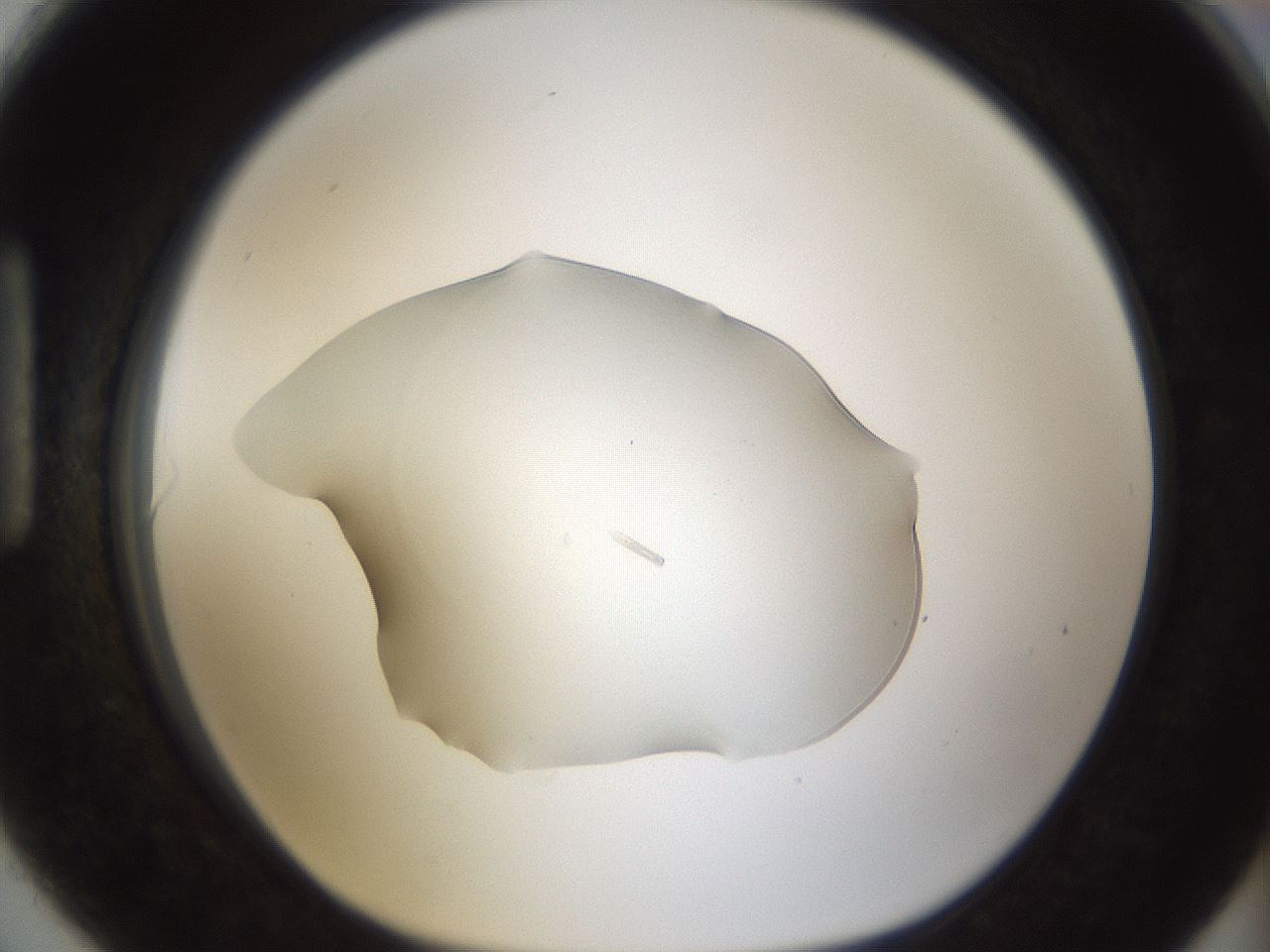 folderID58_plateID1058_batchID2301_wellNum90_profileID1_d1_r47834_ef.jpg