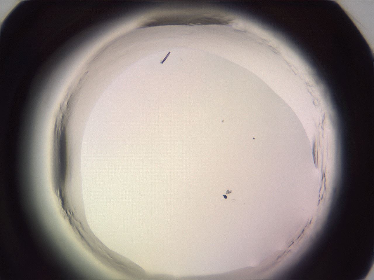 folderID608_plateID2608_batchID13184_wellNum46_profileID1_d1_r204913_ef.jpg