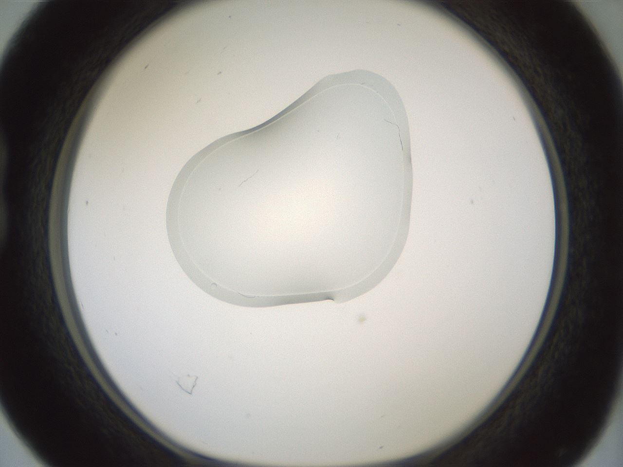 folderID267_plateID1267_batchID4193_wellNum16_profileID1_d1_r76246_ef.jpg