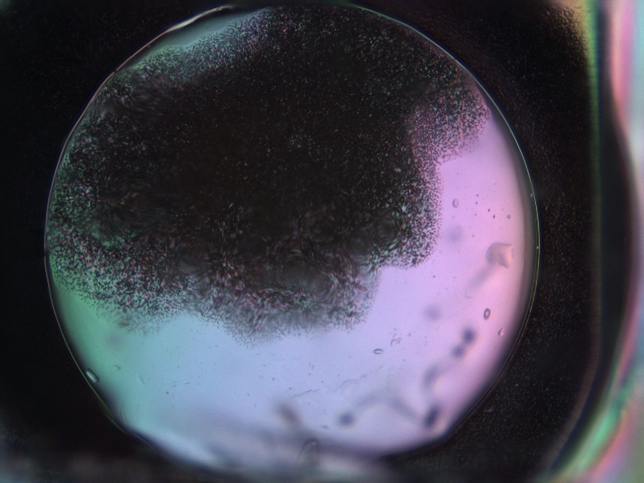 03jk_H5_ImagerDefaults_6.jpg