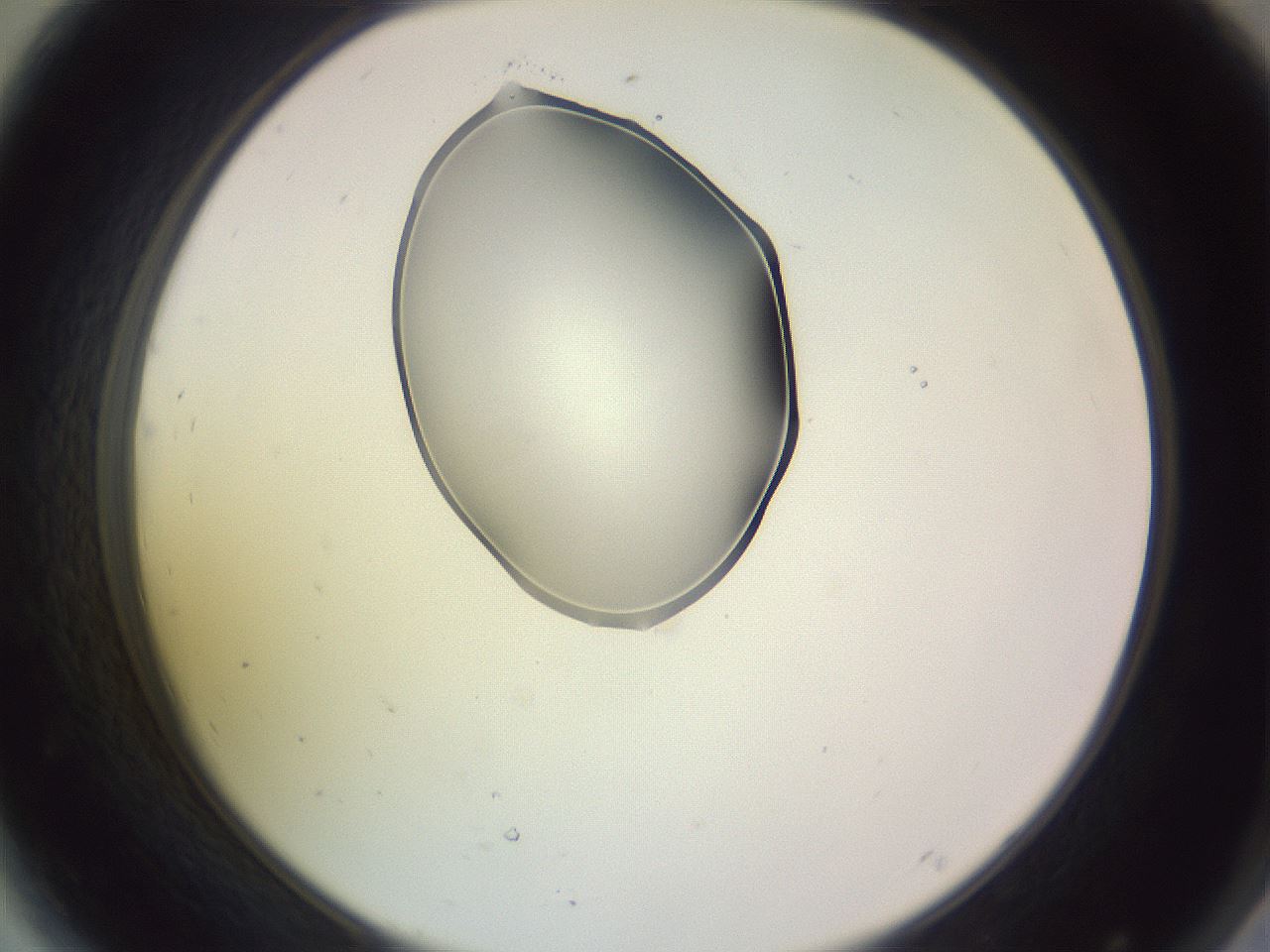 folderID276_plateID1276_batchID4164_wellNum44_profileID1_d2_r73039_ef.jpg