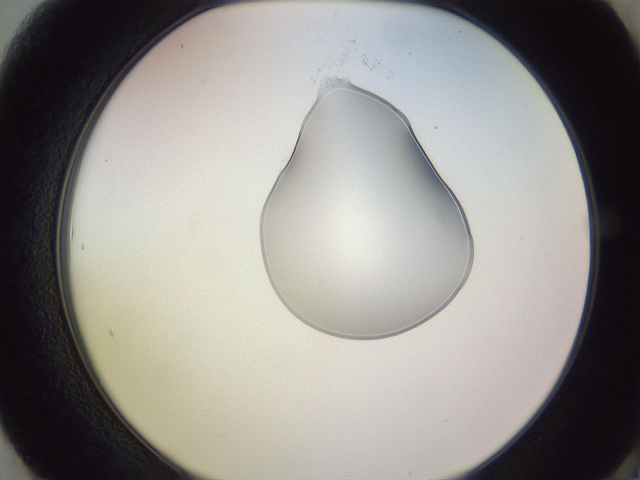 folderID276_plateID1276_batchID4164_wellNum61_profileID1_d2_r73073_ef.jpg
