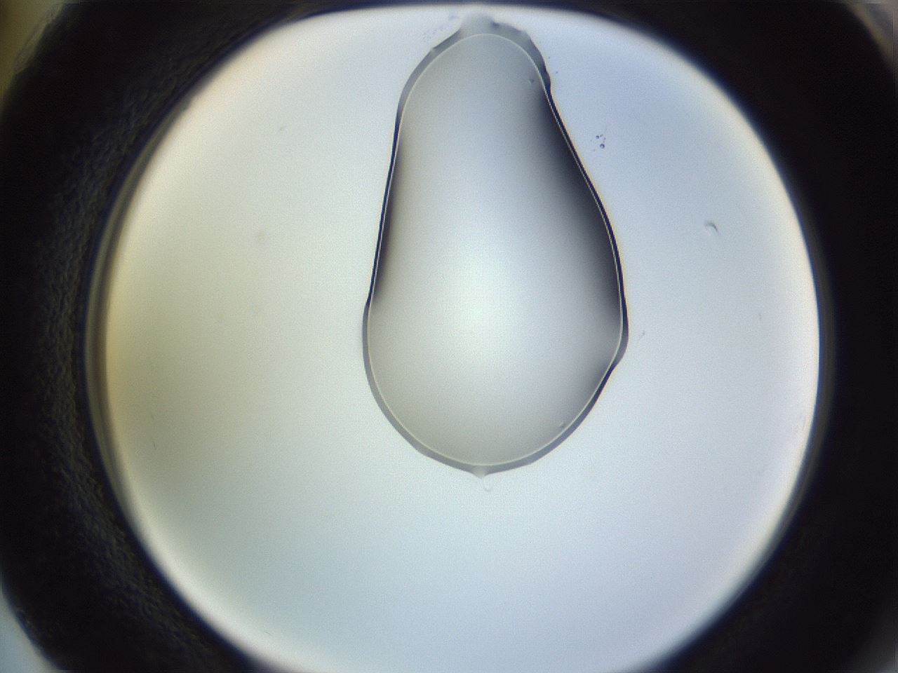 folderID276_plateID1276_batchID4164_wellNum74_profileID1_d2_r73099_ef.jpg