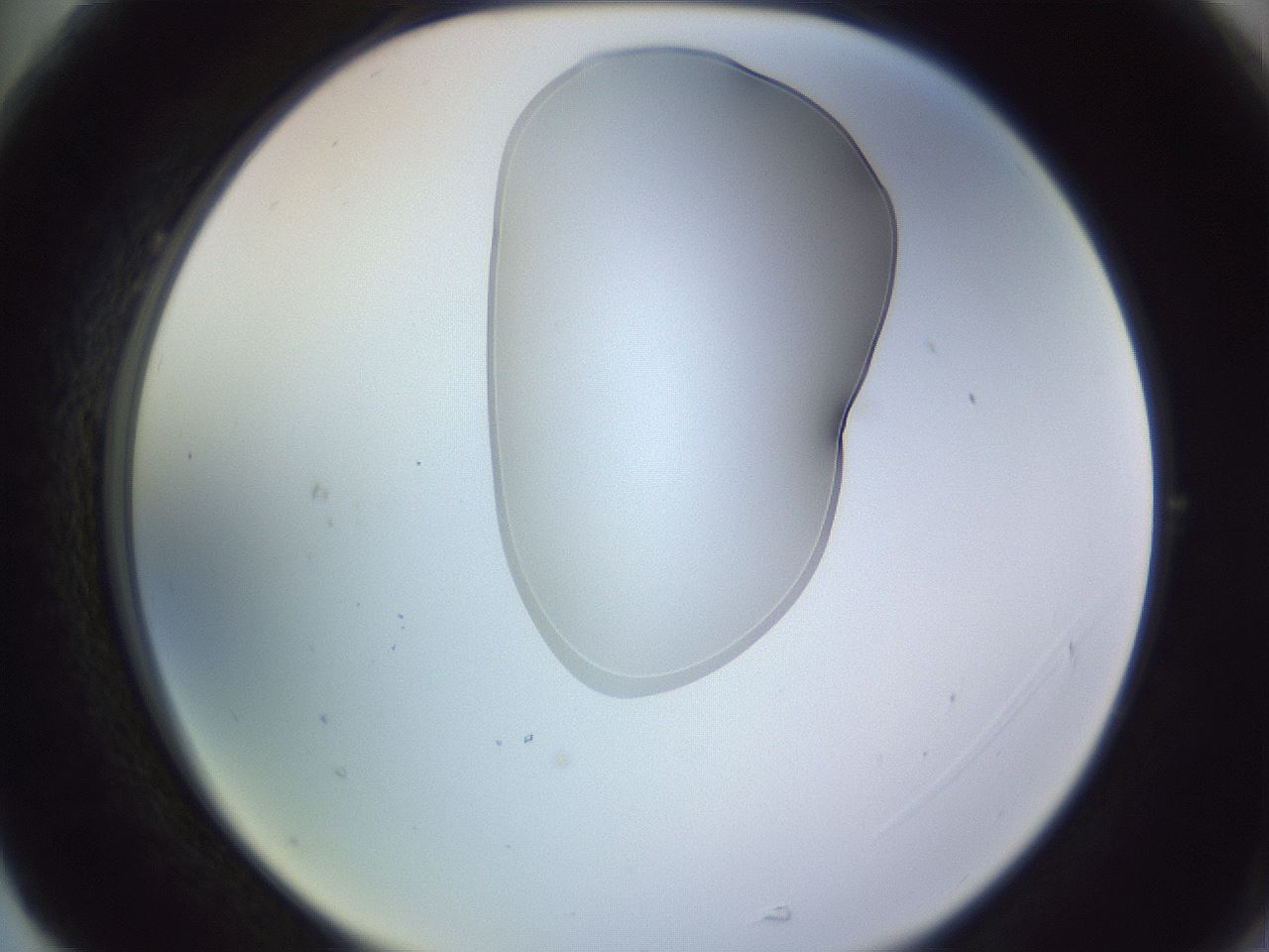 folderID279_plateID1279_batchID4171_wellNum77_profileID1_d2_r75025_ef.jpg
