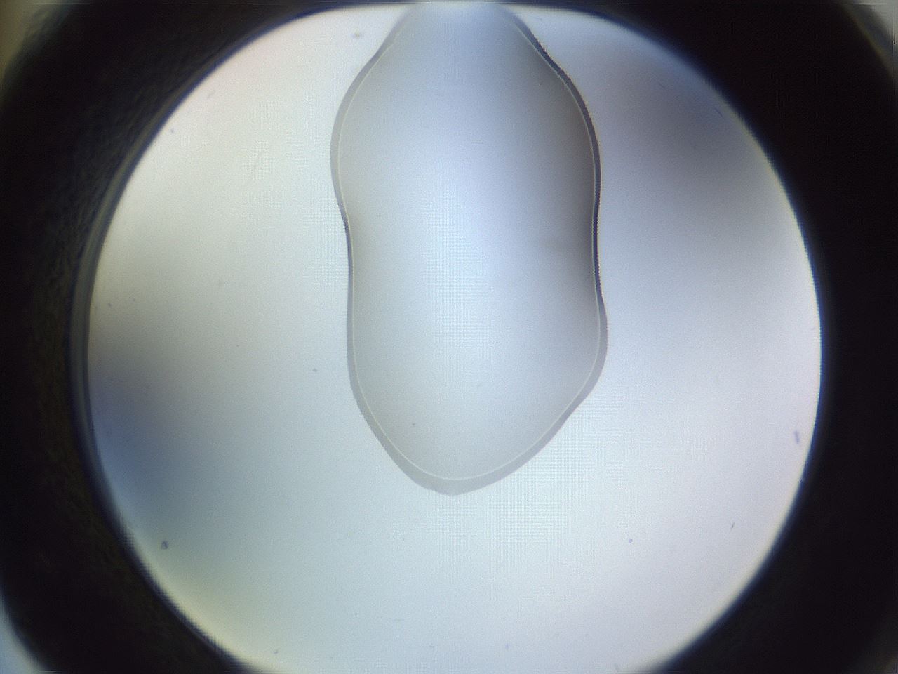 folderID281_plateID1281_batchID4174_wellNum76_profileID1_d2_r75983_ef.jpg