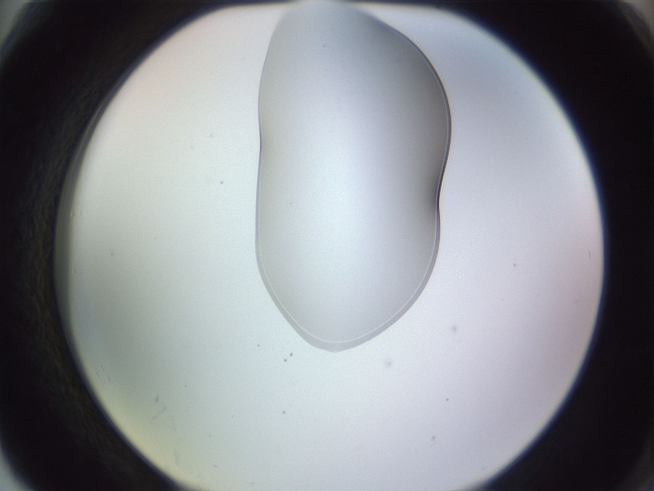 folderID281_plateID1281_batchID4174_wellNum78_profileID1_d2_r75987_ef.jpg