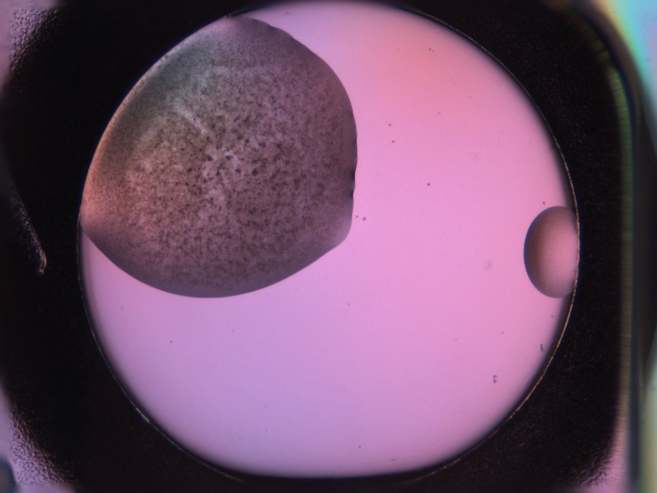 03js_A3_ImagerDefaults_6.jpg