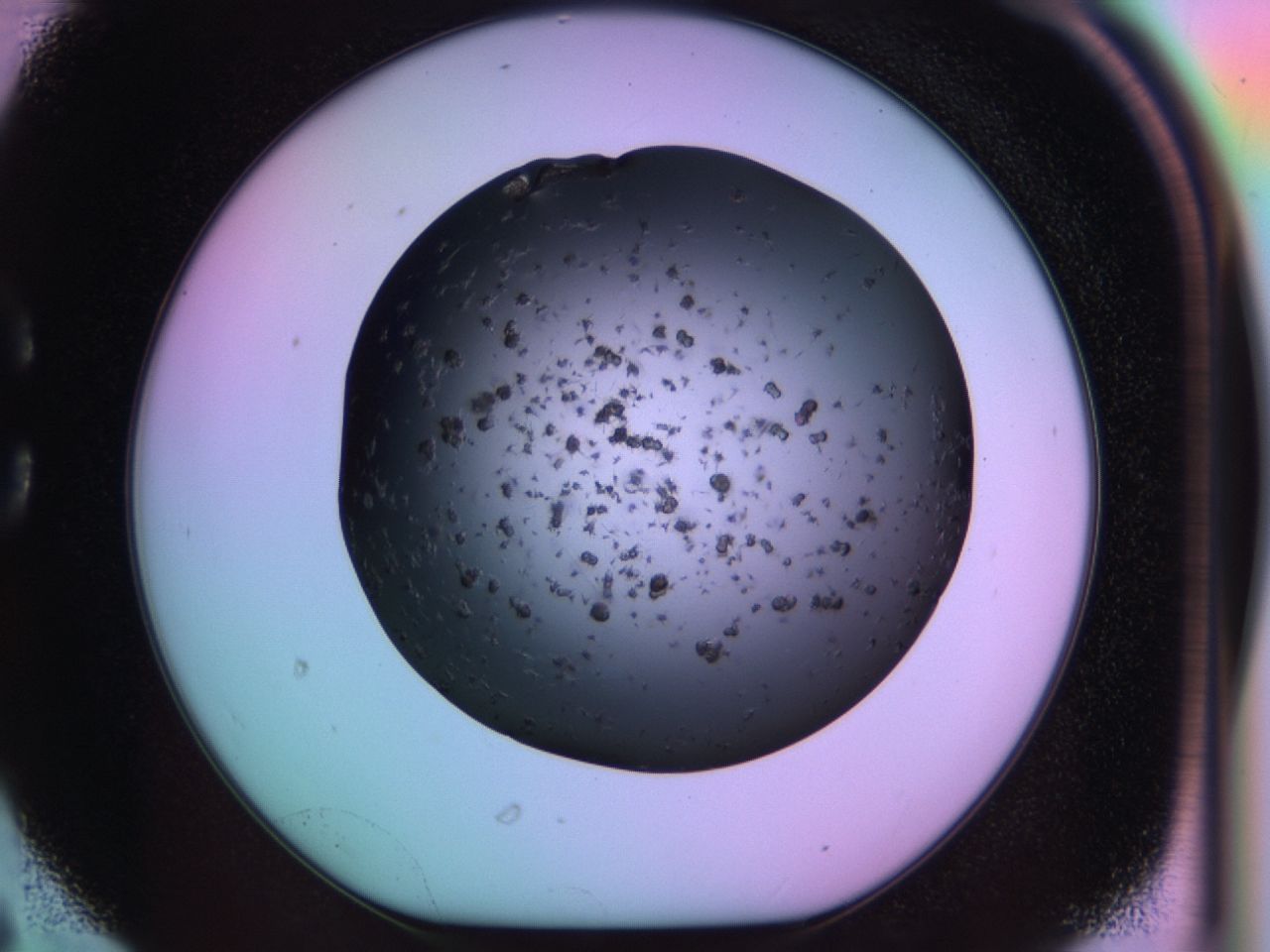 03k2_C6_ImagerDefaults_6.jpg