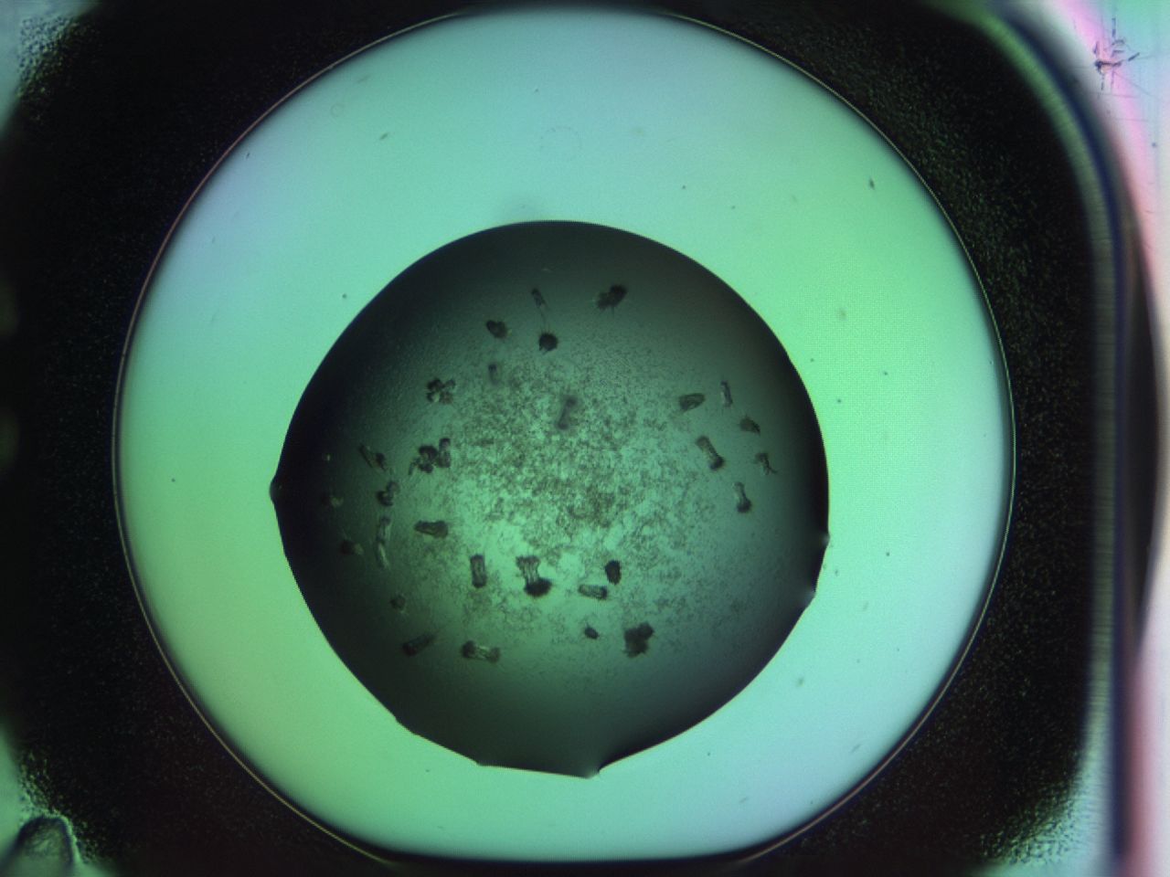 03k2_C11_ImagerDefaults_6.jpg
