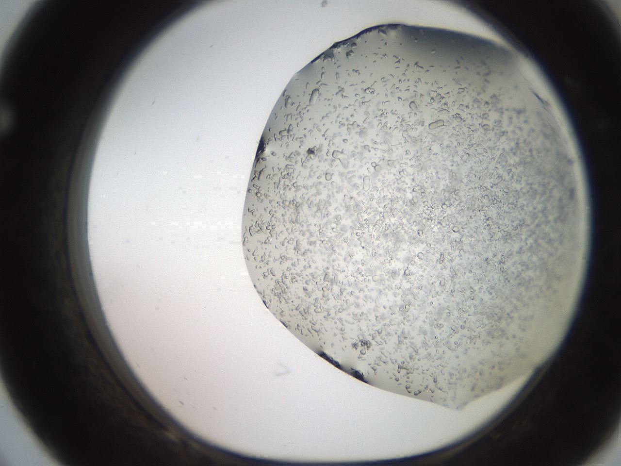 folderID235_plateID2235_batchID10125_wellNum68_profileID1_d1_r154526_ef.jpg