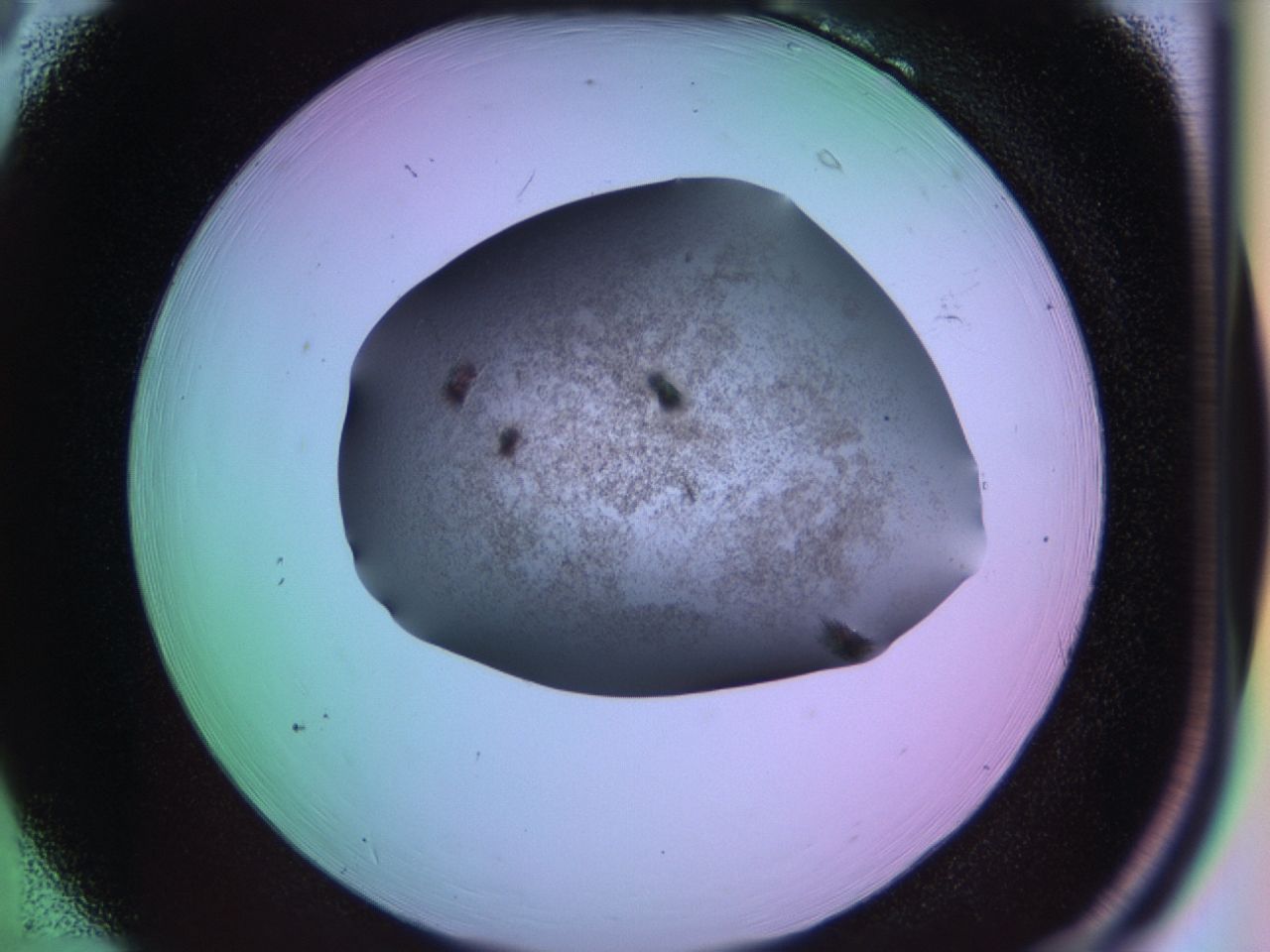 03k2_B6_ImagerDefaults_6.jpg