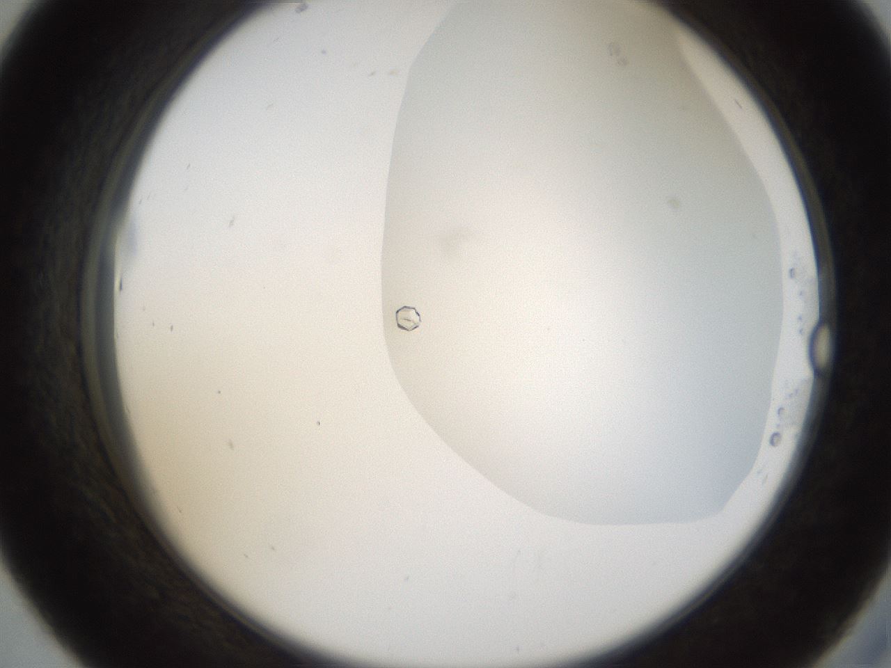folderID159_plateID1159_batchID3197_wellNum43_profileID1_d2_r61940_ef.jpg