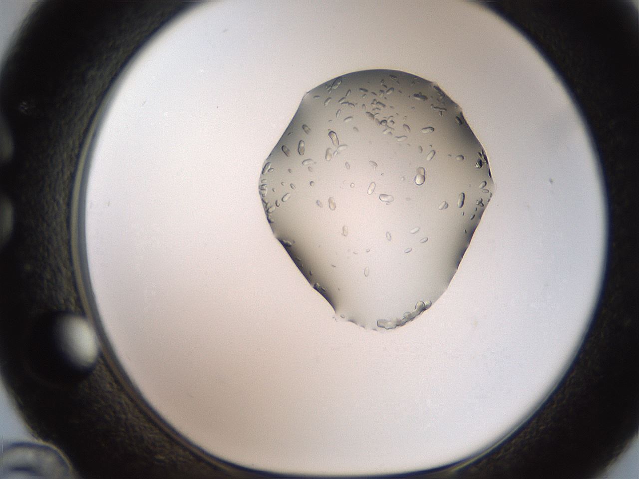 folderID269_plateID2269_batchID10706_wellNum36_profileID1_d1_r158379_ef.jpg