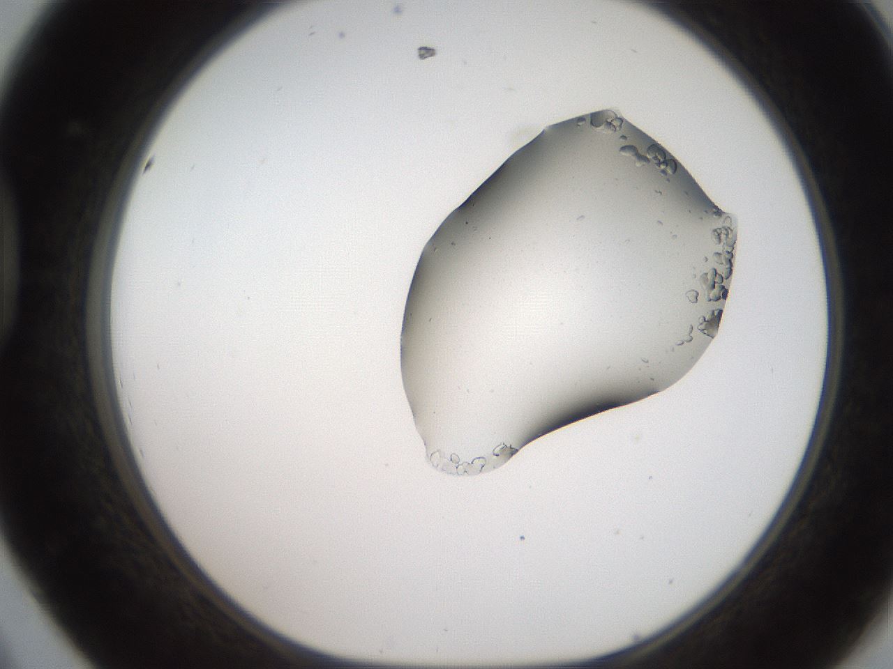 folderID269_plateID2269_batchID10706_wellNum44_profileID1_d1_r158387_ef.jpg
