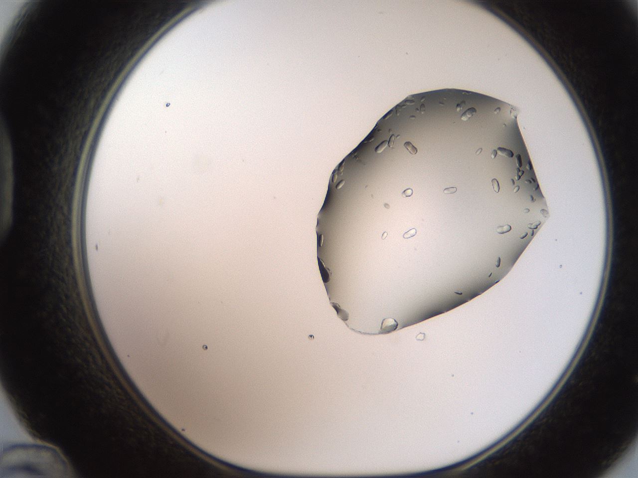 folderID269_plateID2269_batchID10706_wellNum48_profileID1_d1_r158391_ef.jpg