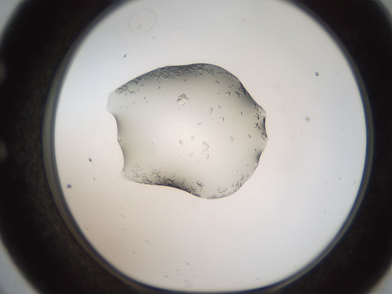 folderID269_plateID2269_batchID10706_wellNum57_profileID1_d1_r158400_ef.jpg