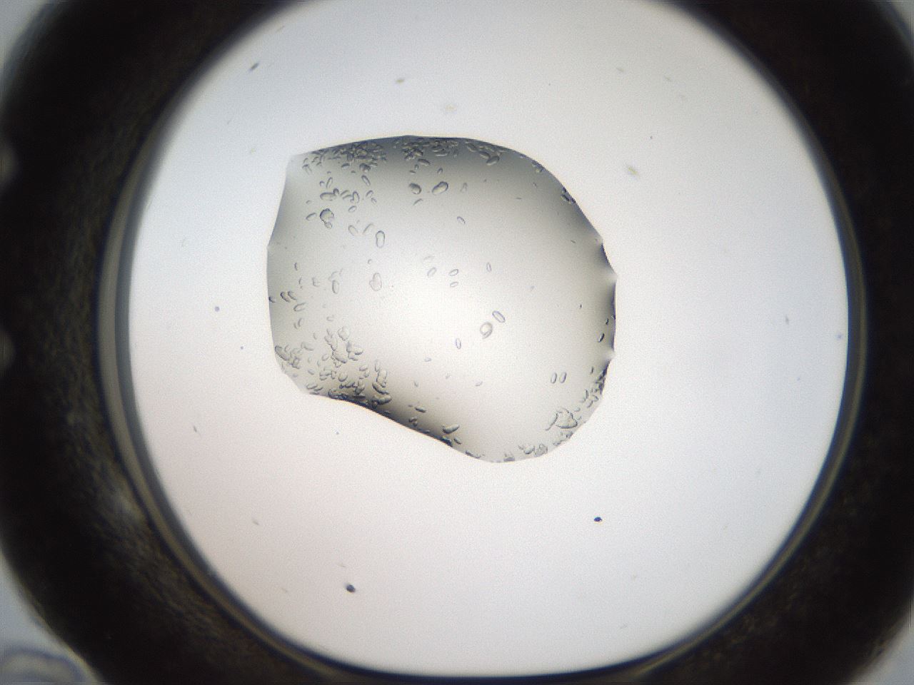folderID269_plateID2269_batchID10706_wellNum58_profileID1_d1_r158401_ef.jpg