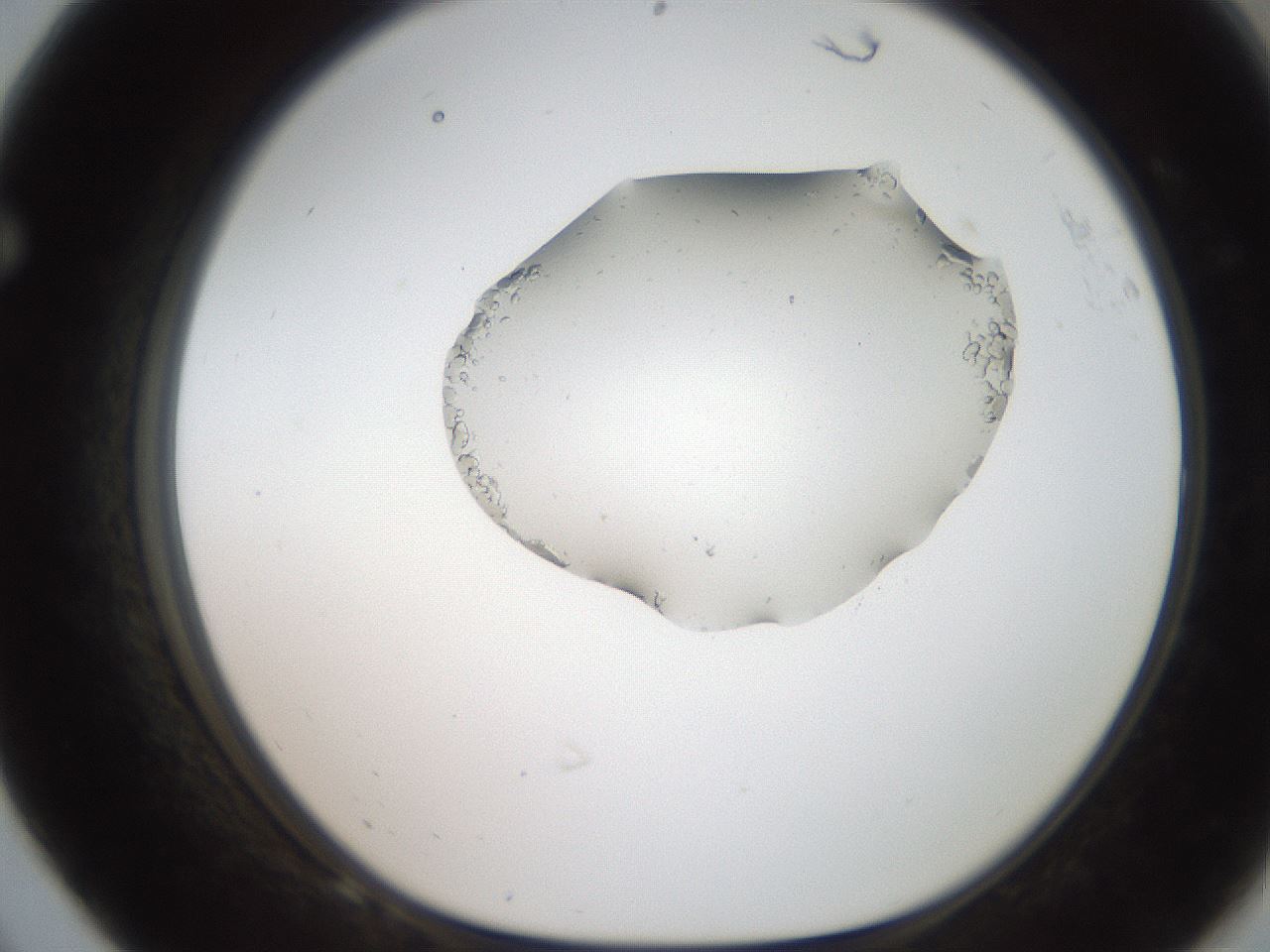 folderID269_plateID2269_batchID10706_wellNum68_profileID1_d1_r158411_ef.jpg