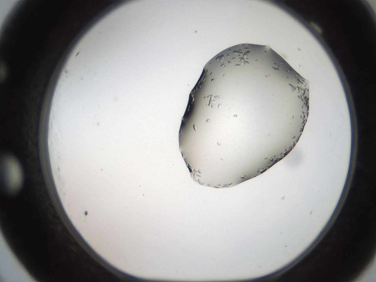 folderID269_plateID2269_batchID10706_wellNum69_profileID1_d1_r158412_ef.jpg