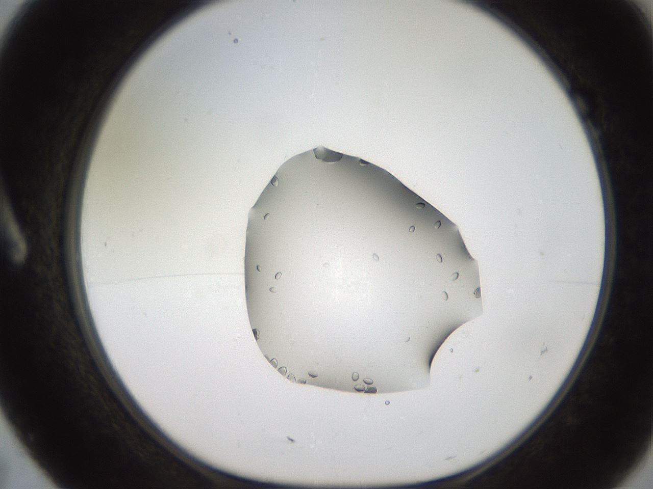folderID269_plateID2269_batchID10706_wellNum7_profileID1_d1_r158350_ef.jpg