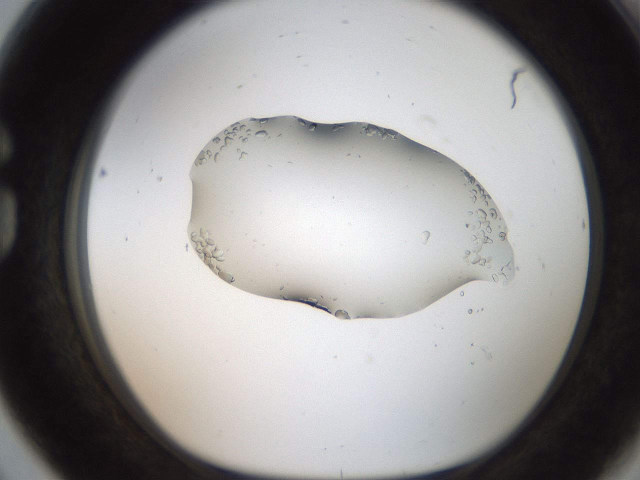 folderID269_plateID2269_batchID10706_wellNum80_profileID1_d1_r158423_ef.jpg