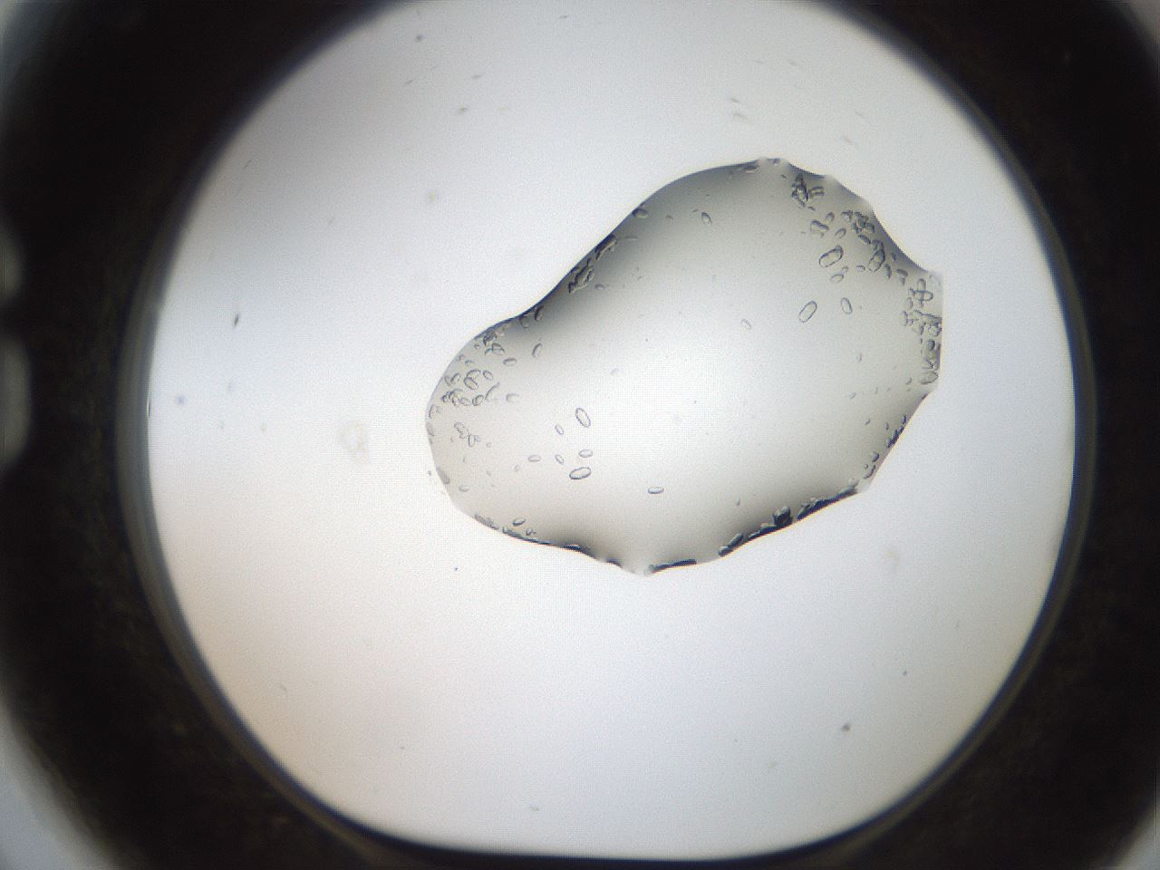 folderID269_plateID2269_batchID10706_wellNum81_profileID1_d1_r158424_ef.jpg