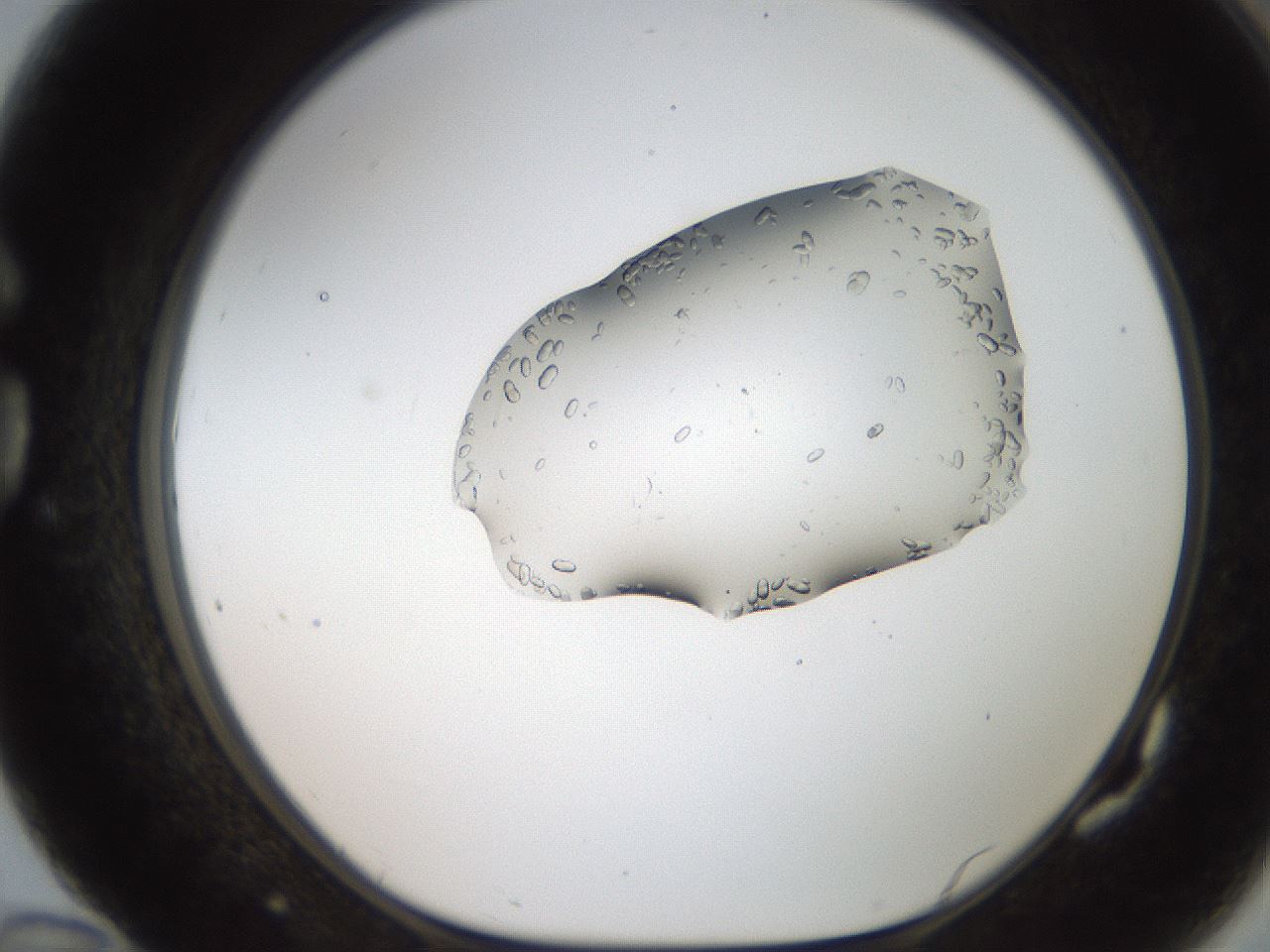 folderID269_plateID2269_batchID10706_wellNum82_profileID1_d1_r158425_ef.jpg