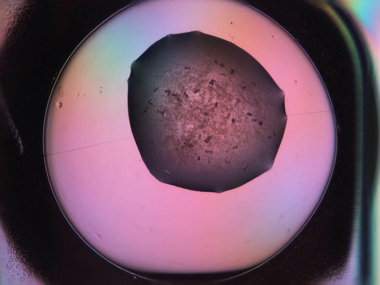 03k4_A1_ImagerDefaults_6.jpg