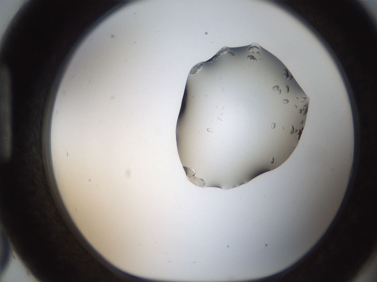 folderID269_plateID2269_batchID10706_wellNum93_profileID1_d1_r158436_ef.jpg