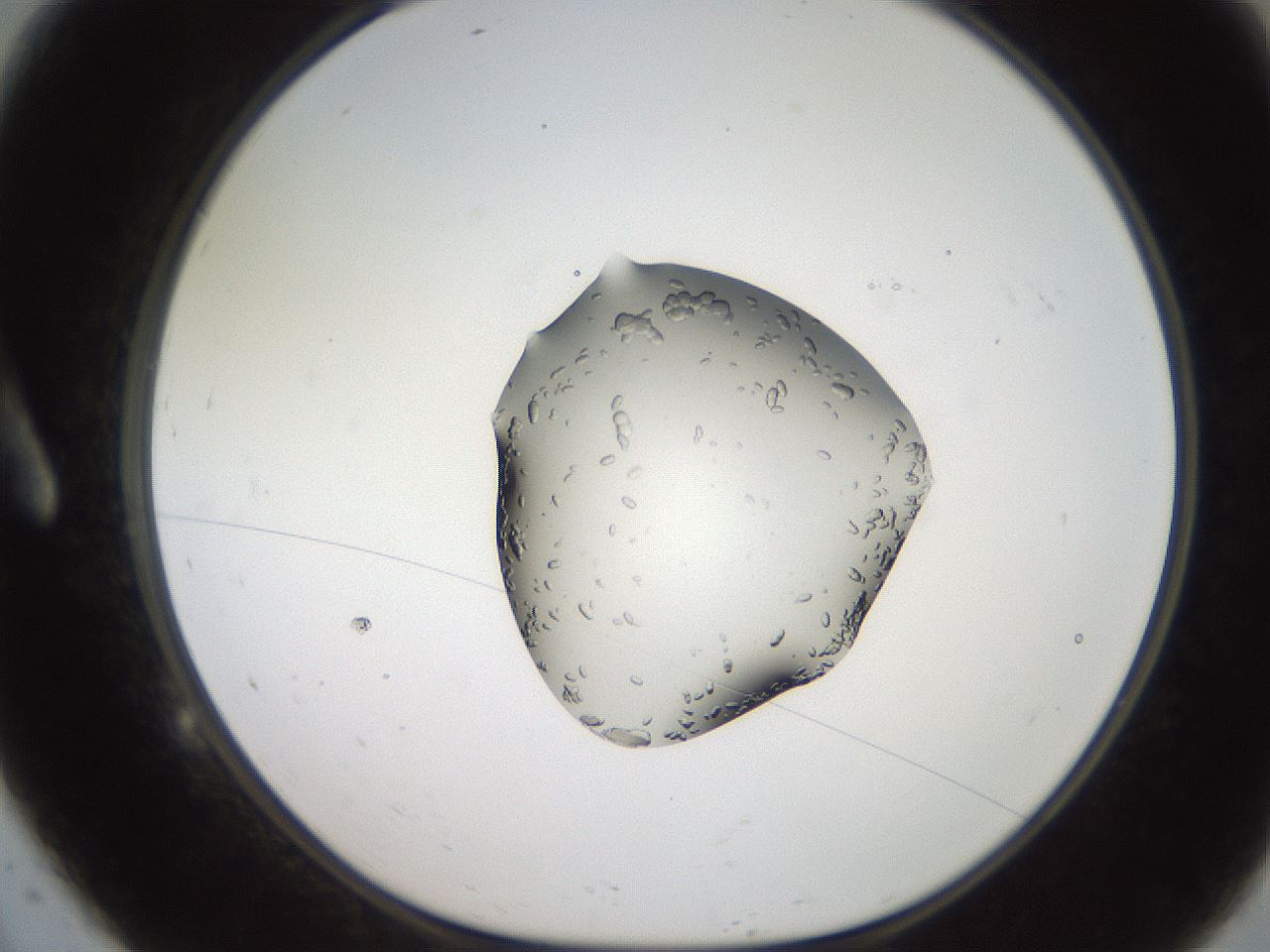 folderID269_plateID2269_batchID10706_wellNum9_profileID1_d1_r158352_ef.jpg