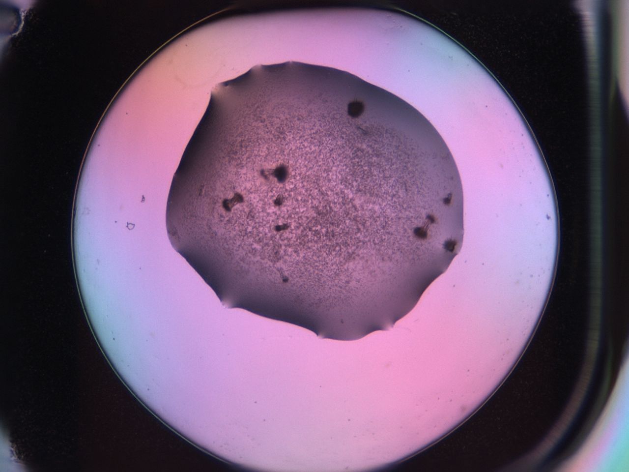 03k4_A2_ImagerDefaults_6.jpg