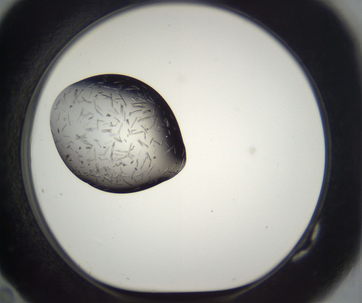folderID290_plateID2290_batchID10843_wellNum82_profileID1_d1_r160735_ef.jpg