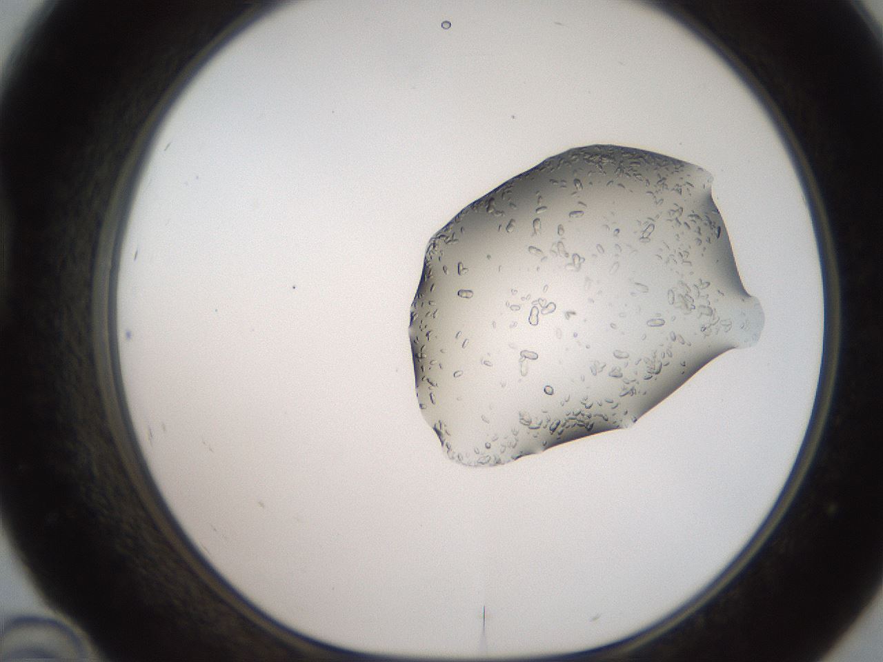 folderID269_plateID2269_batchID10706_wellNum46_profileID1_d1_r158389_ef.jpg