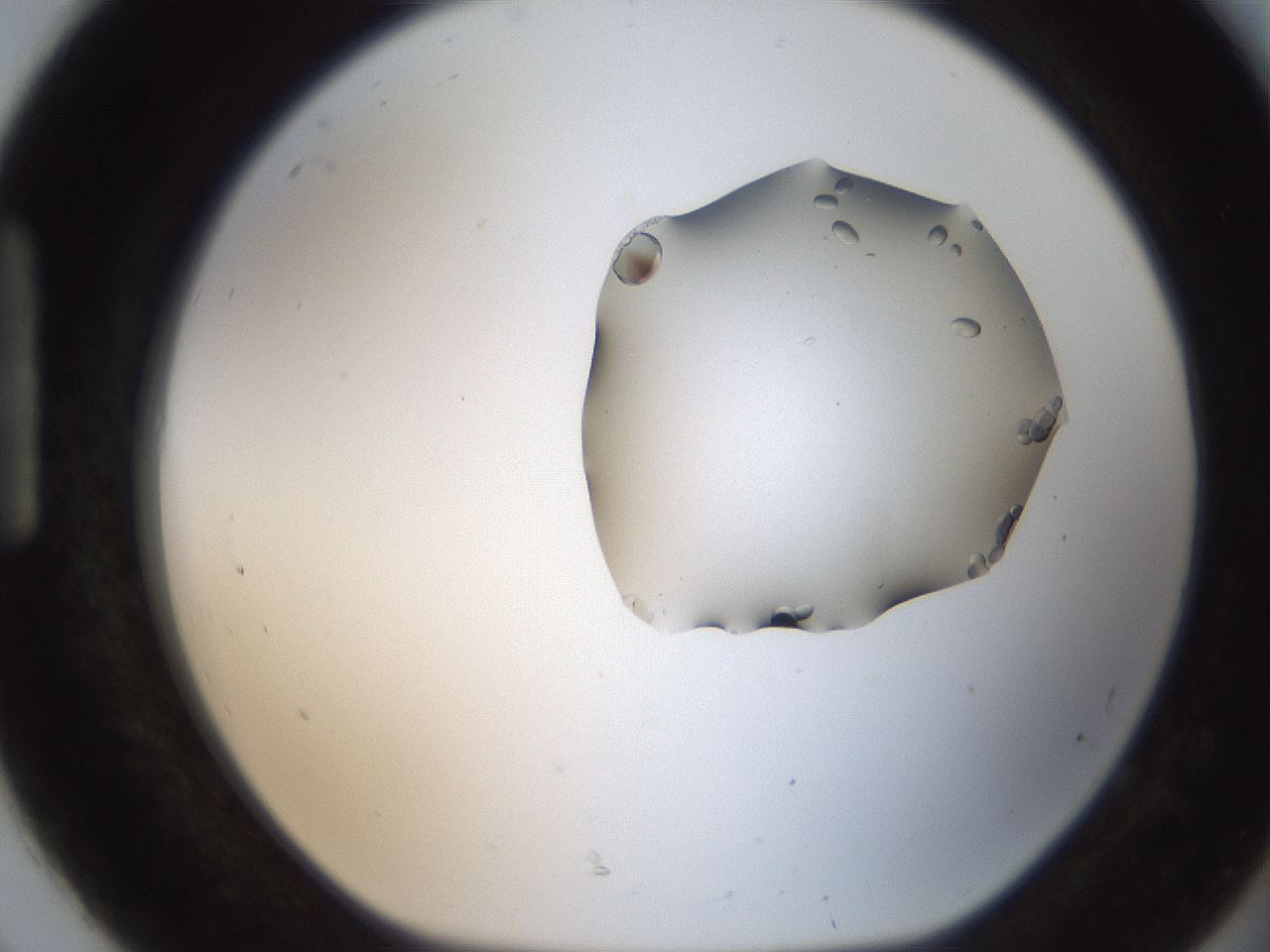 folderID269_plateID2269_batchID10706_wellNum92_profileID1_d1_r158435_ef.jpg