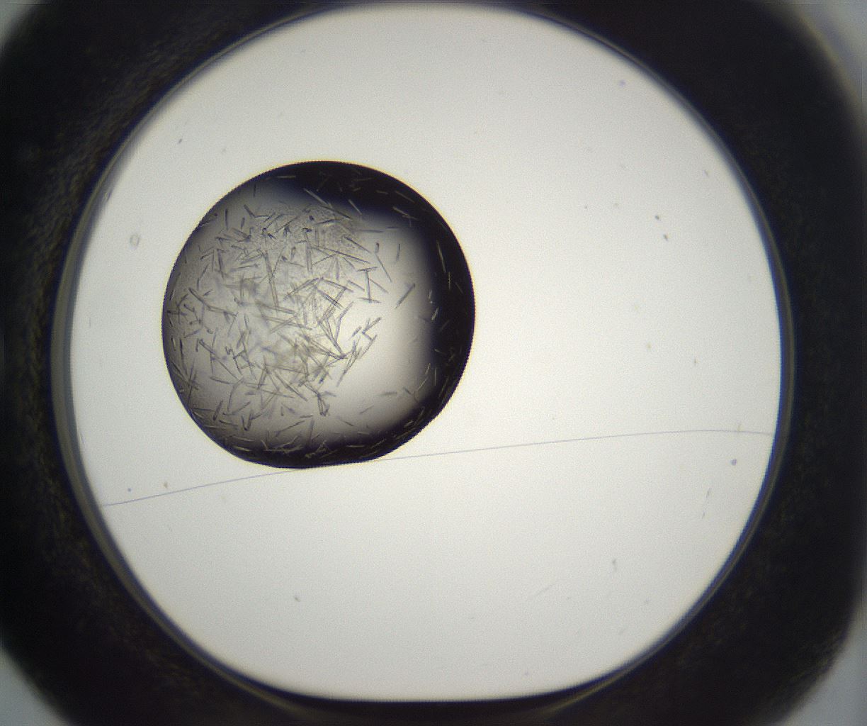 folderID282_plateID2282_batchID10837_wellNum5_profileID1_d1_r160178_ef.jpg