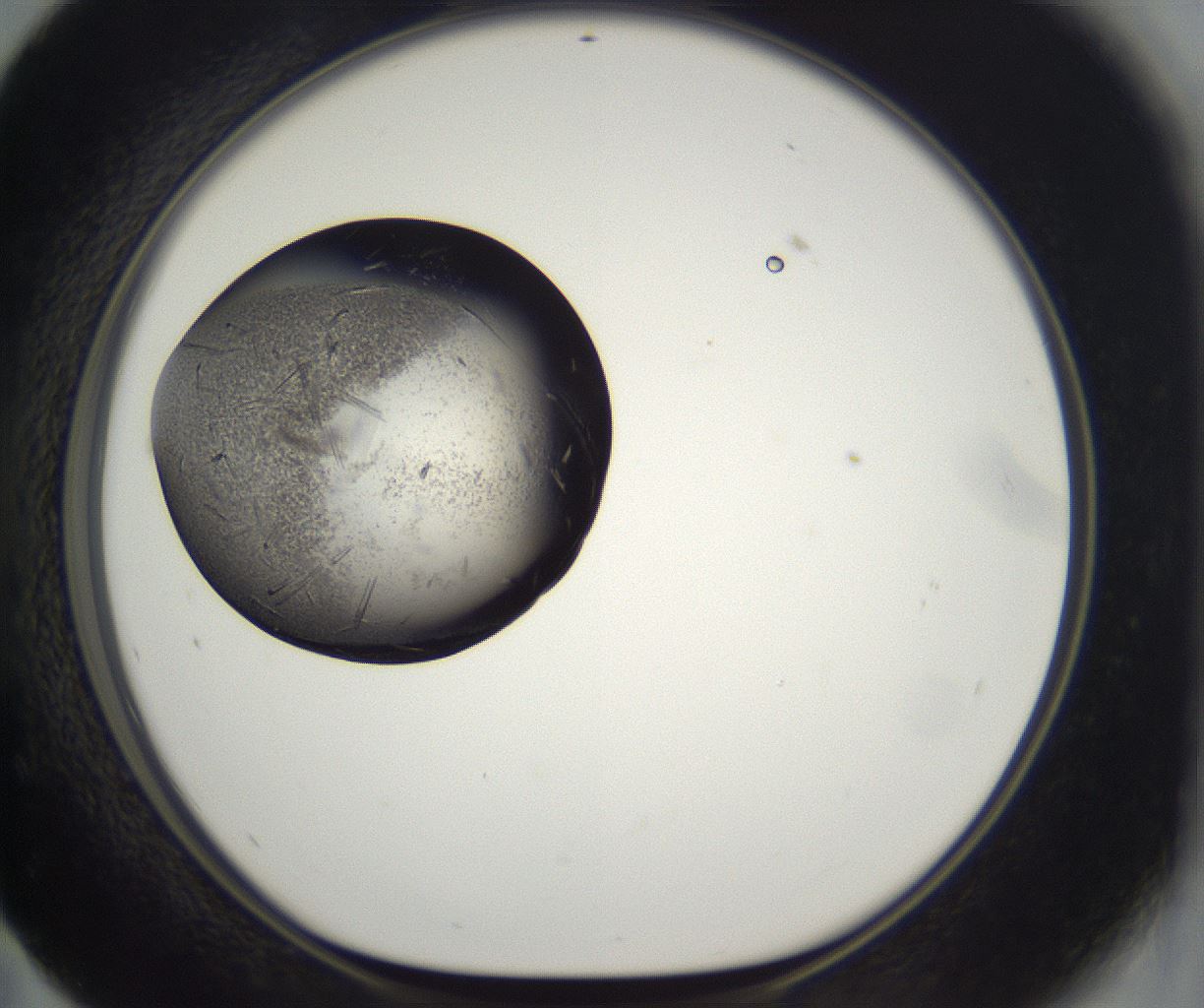 folderID290_plateID2290_batchID10843_wellNum59_profileID1_d1_r160712_ef.jpg