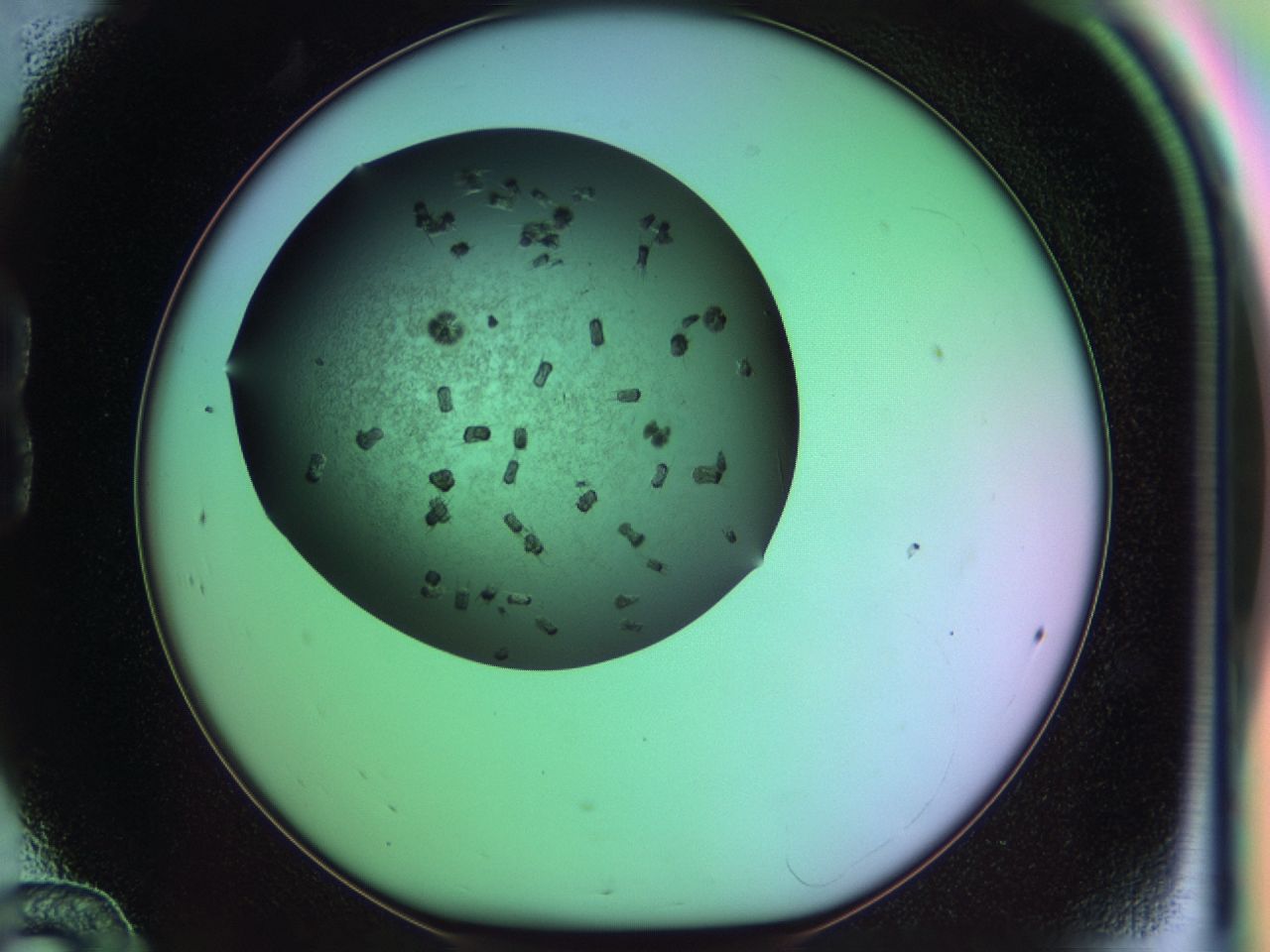 03k4_B12_ImagerDefaults_7.jpg