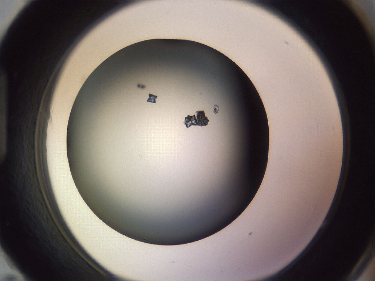 folderID353_plateID1353_batchID4708_wellNum95_profileID1_d1_r81802_ef.jpg